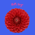 Bell’s Narya Dahlia Tuber